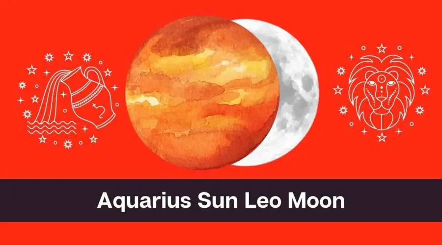 Aquarius Sun Leo Moon A Complete Guide eAstroHelp