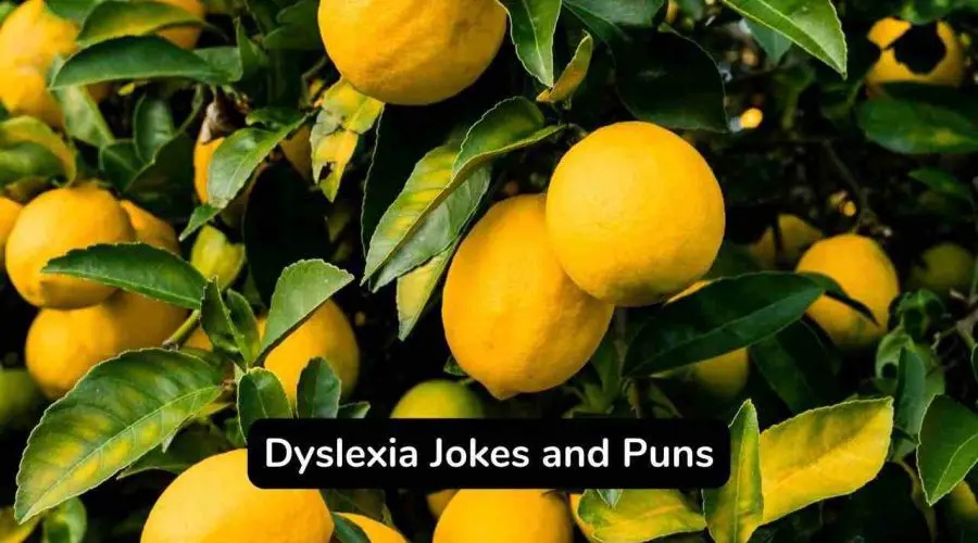 40 Funny Lemon Jokes and Puns That Will Make You Sour