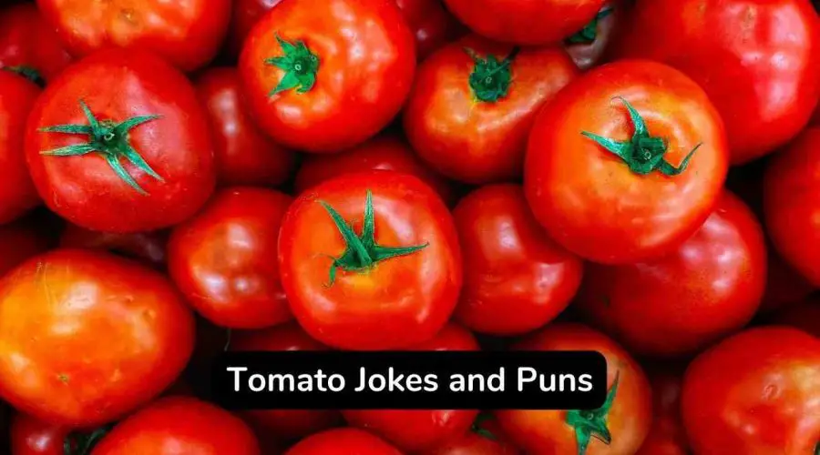 50 Hilarious Tomatoes Jokes and Puns That Are Very Juicy