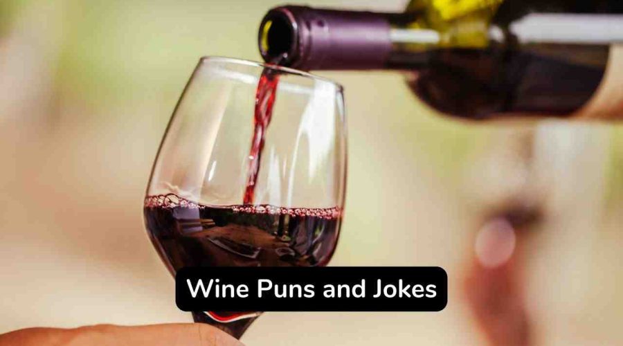 Best 60 Wine Puns and Jokes You will Love