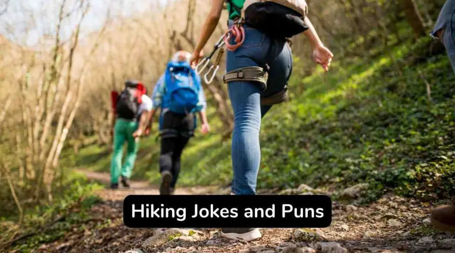 Top 70 Hiking Jokes and Puns For Mountain Lovers