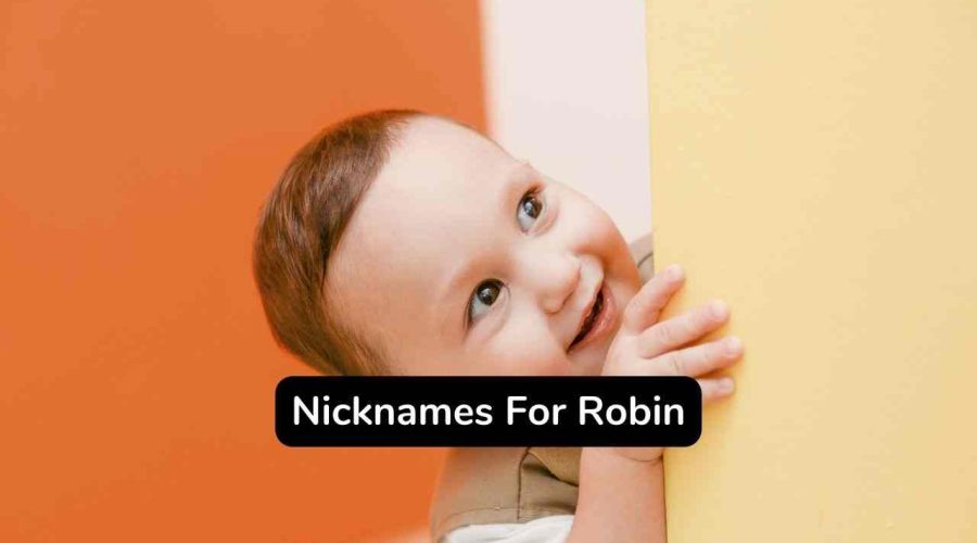 Best 120 Nicknames For Robin For Him