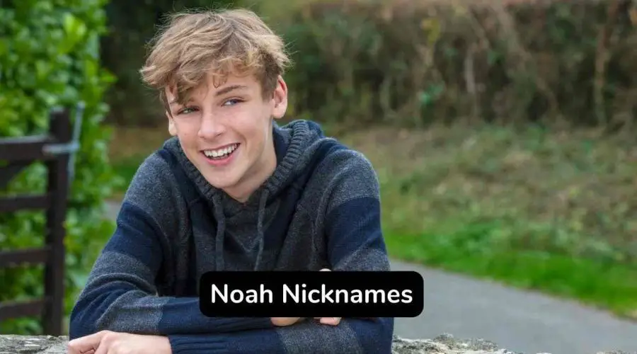 Top 140 Noah Nicknames For Male and Female