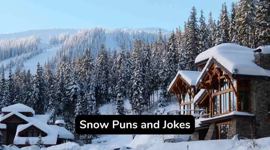 Best 80 Snow Puns and Jokes To Make Your Day