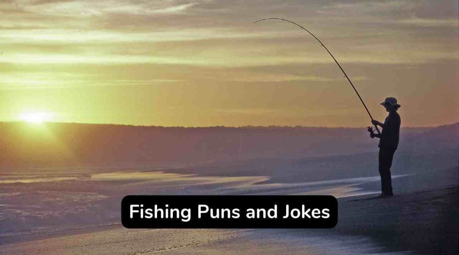65 Best Fishing Puns and Jokes You Should Not Miss!