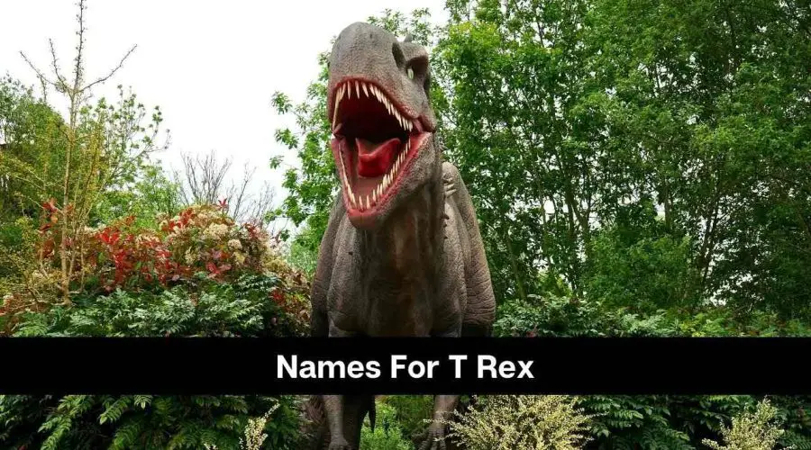 Best 90 Names For T Rex That You Will Love eAstroHelp