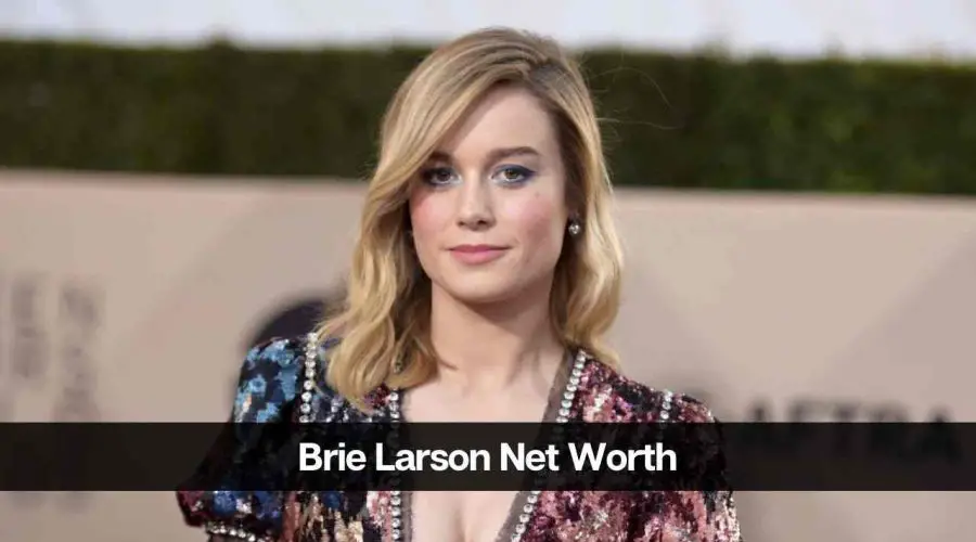 Brie Larson Net Worth: Know All About Her Income Resources