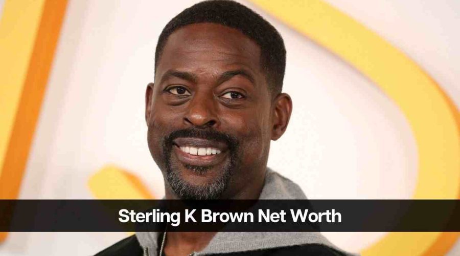 Sterling K Brown Net Worth 2024: Career, Income, and Success