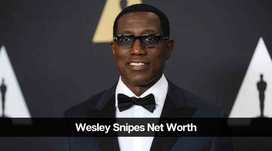 Wesley Snipes Net Worth Know All About His Resources eAstroHelp