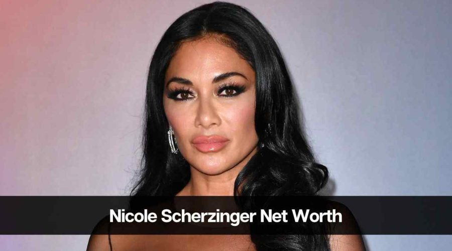 Nicole Scherzinger Net Worth 2024: Age, Career, Income & More