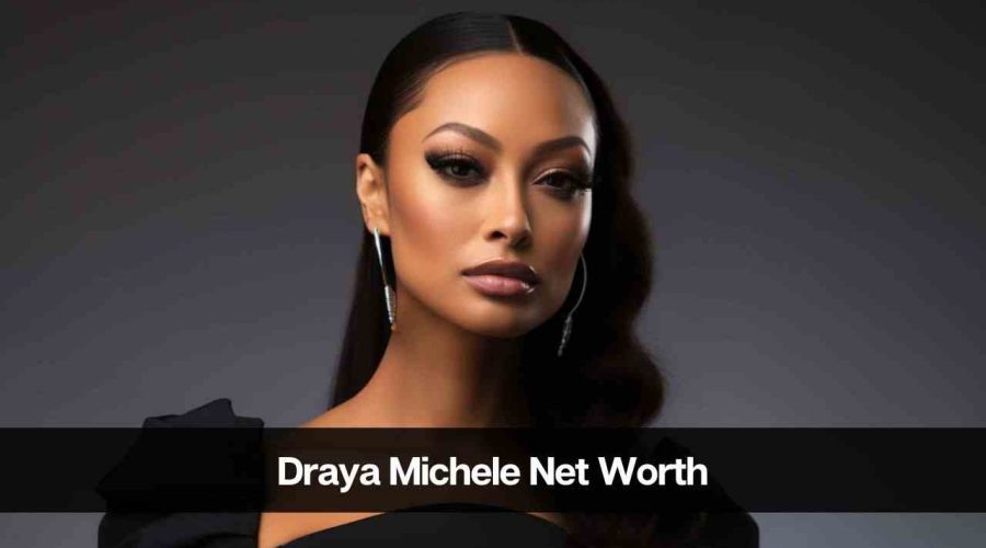 Draya Michele Net Worth 2024 Age Career Income and Boyfriend