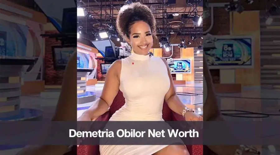 Demetria Obilor Net Worth 2024: Know Her, Age, Boyfriend, & Height