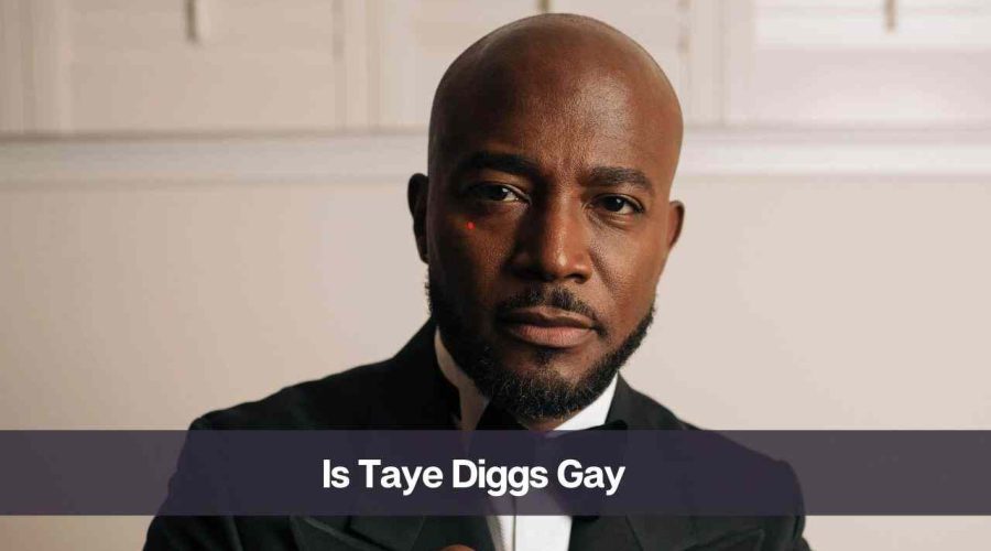 Is Taye Diggs Gay: Know His Age, Height, Wife, and Net Worth