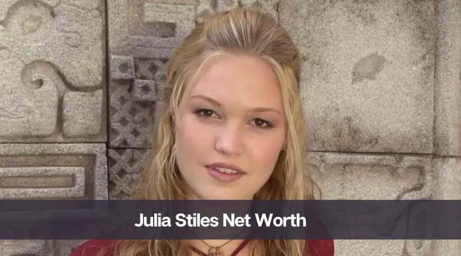 Julia Stiles’s Net Worth 2024: Know Her Age, Height, and Personal Life