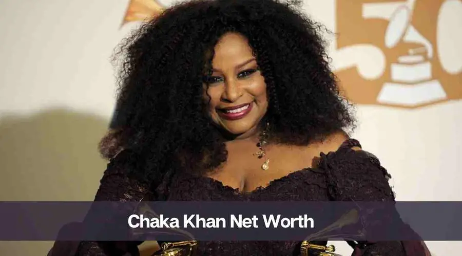 Chaka Khan Net Worth 2024: Know Her Age, Height, and Husband