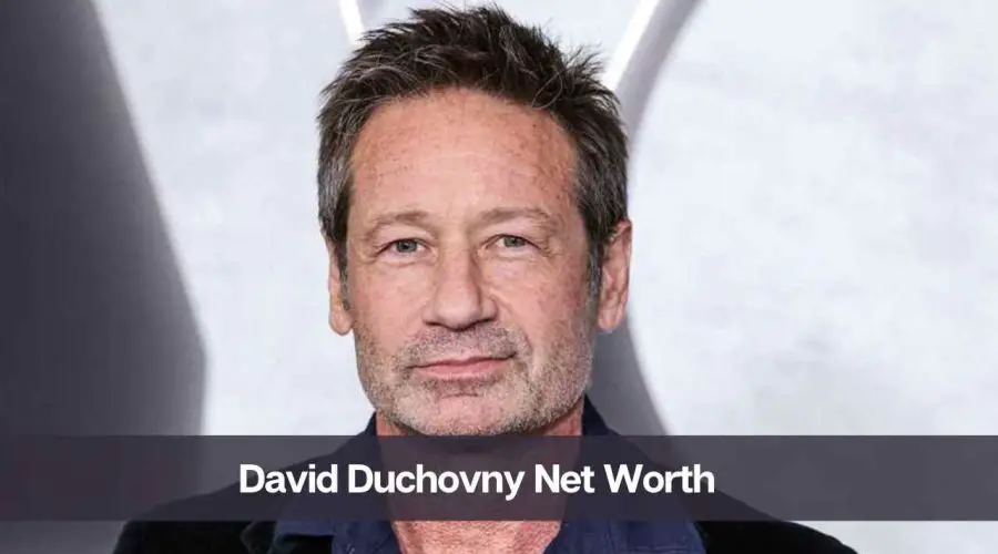 David Duchovny Net Worth 2024: Know His Age, Height, and Wife