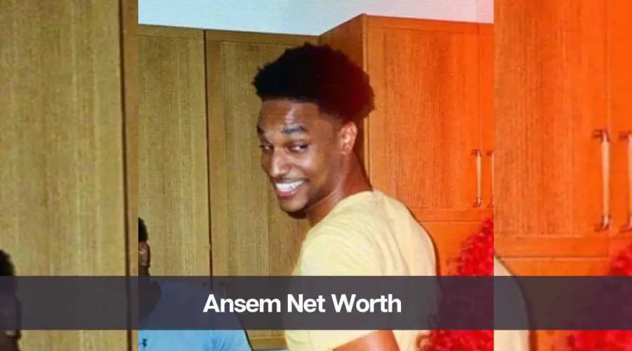 Ansem Net Worth 2024: Know His Age, Height, and Personal Life