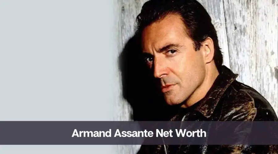 Armand Assante Net Worth 2024: Know His Age, Height, & Wife