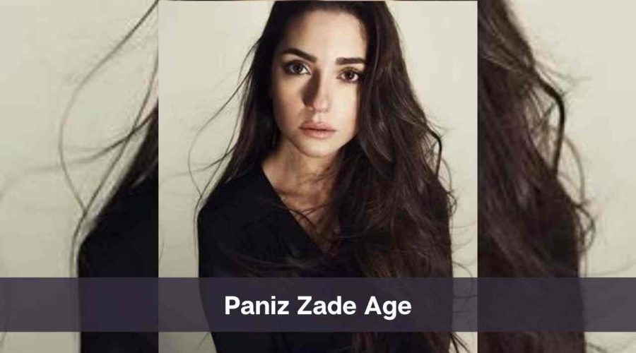 Paniz Zade Age: Know Her Height, Net Worth & Personal Life