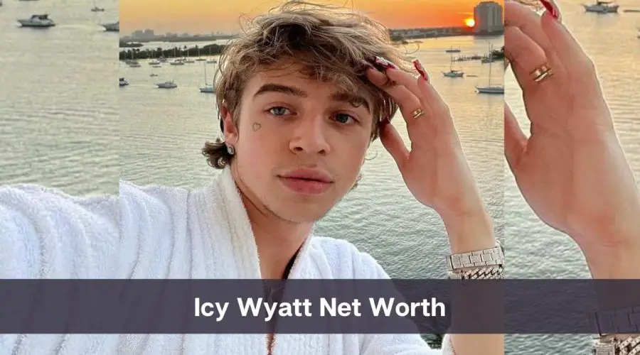 Icy Wyatt Net Worth 2024: Know His Age, Height & Personal Life