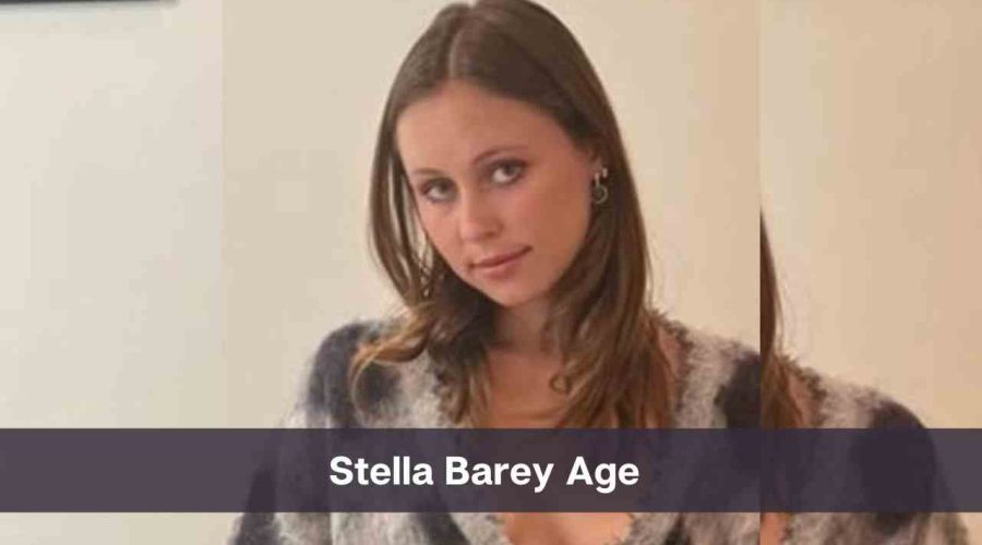 Stella Barey Age: Know Her Height, Boyfriend & Net Worth