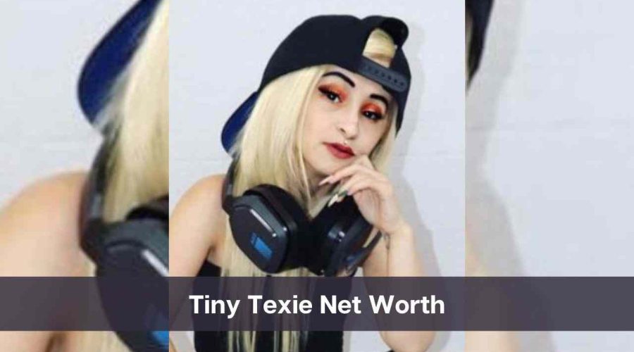 Tiny Texie Net Worth 2024: Know Her Age, Height, and Personal Life